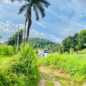 Sale Land with a Property Kegalle - Image 4