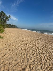 Beach Land for Sale in Tangalle Rekawa