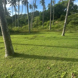 Beach Land for Sale in Tangalle Rekawa - Image 3