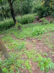 හන්තානට මුහුණලා පිහිටි ඉඩම විකිනීමට
