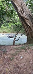 Land For sale 25acres Monaragala