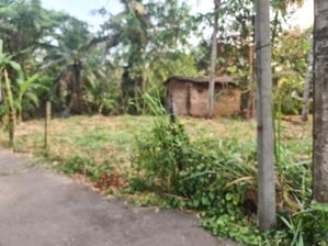 Pilapitiya Land for sale