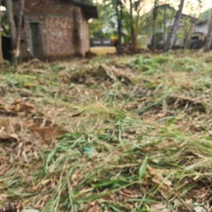 Pilapitiya Land for sale - Image 3