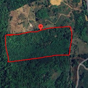 Rubber Estate for Sale in Ratnapura - Image 4