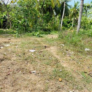 බෙලිඅත්ත අධිවේගී පිවිසුම ආසන්නයෙන් ඉඩමක් විකිණීමට ඇත - Image 3