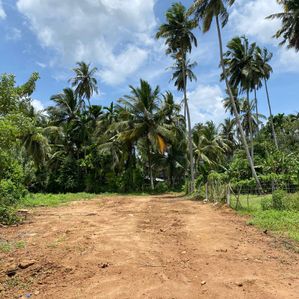 බෙලිඅත්ත අධිවේගී පිවිසුම ආසන්නයෙන් ඉඩමක් විකිණීමට ඇත - Image 4