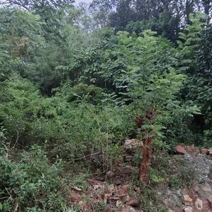 Prime Land for Sale – Riverston, Kahagala - Image 3
