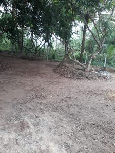 Attractive Land for Sale Padukka