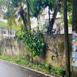 Land for Sale in Dehiwala - 10.5 Perches - Image 2