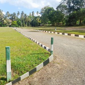 beliatta අරන්වල පාරෙන් ඉඩමක් විකිණීමට - Image 3