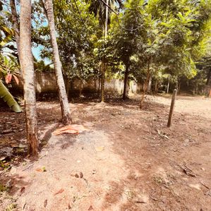 Land for Sale in Galle - Image 2