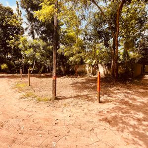 Land for Sale in Galle - Image 3