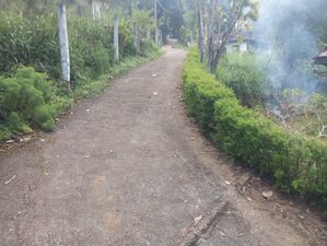 Land for Sale in Gampola City
