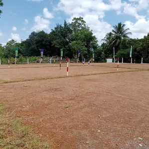 Land For Sale In Homagama - Thalagala (Beruketiya) - Image 3
