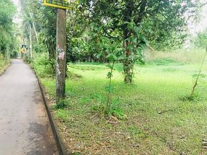 බිම් කොටසක් වෑබඩින්