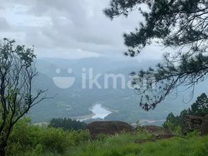 Ramboda Two Block of Land