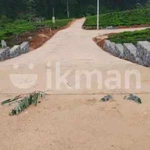Ramboda Two Block of Land - Image 3