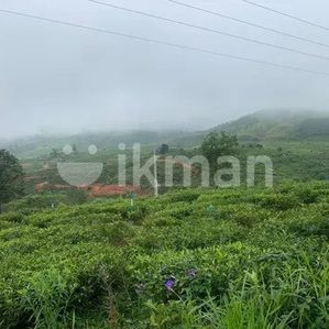 Ramboda Two Block of Land - Image 4