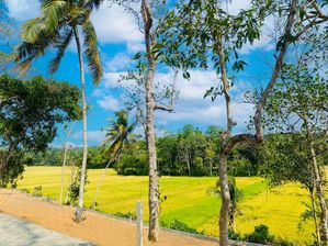 Land for Sale in Matara
