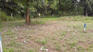 Land Sale in Anuradhapura Ulukkulama