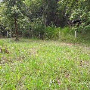 Land Sale in Anuradhapura Ulukkulama - Image 4