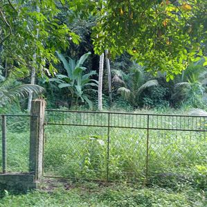 Valuable 15P Bare Land for Sale in 276 Kandana Road Ganemulla - Image 4