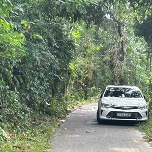 Land For Sale in Matale (Thibbotuwawa) - Image 3