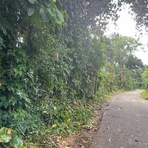 Land For Sale in Matale (Thibbotuwawa) - Image 4