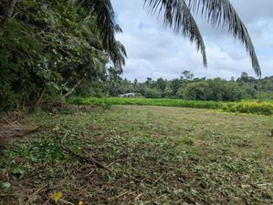 Land for Sale Ragama