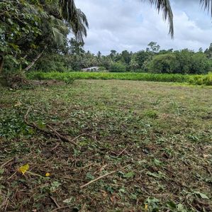 Land for Sale Ragama - Image 2