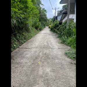 මහනුවර හන්තාන හි ඉඩමක් විකිණීමට ඇත - Image 2