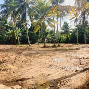 Land for Sale in Denipitiya Matara - Image 3