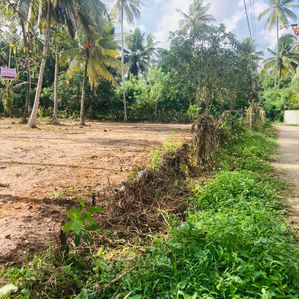 Land for Sale in Denipitiya Matara - Image 4