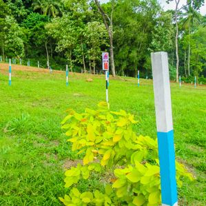Residential Lands for Sale in Ibbagamuwa - U 109 - Image 3