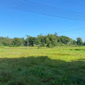 පර්චස් 15ක අගනා ඉඩමක් හෝමගම අතුරුගිරිය - Image 2