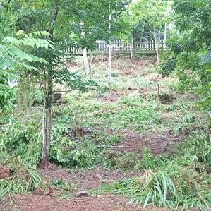 Land For Sale - Peradeniya - Image 2
