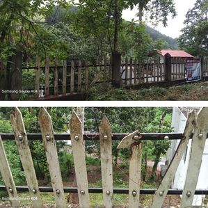 Land For Sale - Peradeniya - Image 4