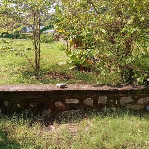 Land for Sale at Royal Garden Residences, Kularathna Mawatha, Negombo. - Image 2