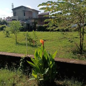 Land for Sale at Royal Garden Residences, Kularathna Mawatha, Negombo. - Image 3
