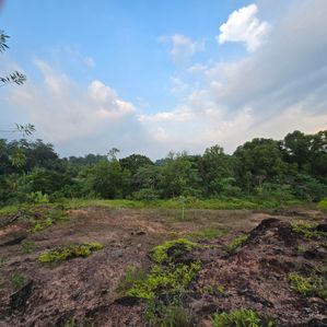 515 Perches Land for Sale Hapugala - Image 2