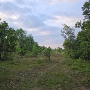 515 Perches Land for Sale Hapugala - Image 3
