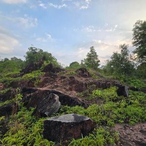 515 Perches Land for Sale Hapugala - Image 4