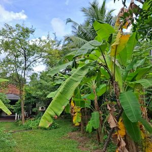 Land for Sale in Gampaha City - Image 3