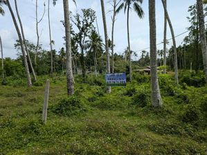 Land for sale in Minuwangoda