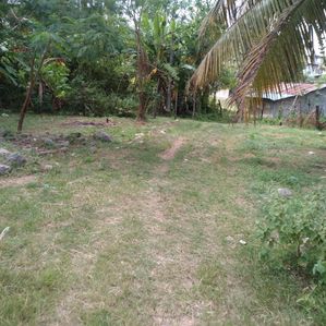 Land For Sale In Angoda - Image 2