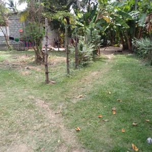 Land For Sale In Angoda - Image 3