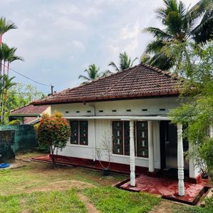 land with old house for sale in polgasowita - Image 3