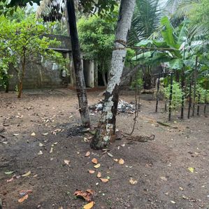 Land for Sale Facing to Bolgoda River - Image 4