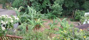 Waterfront Land for Sale in Peradeniya