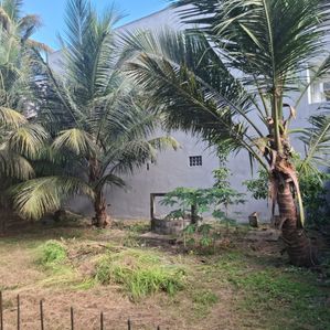Prime Land for Sale – Saranankara Road - Image 2